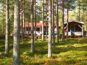 Unser Waldgrundtück zum See mit Beerensträuchern